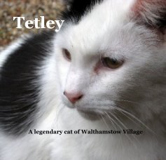Tetley book cover