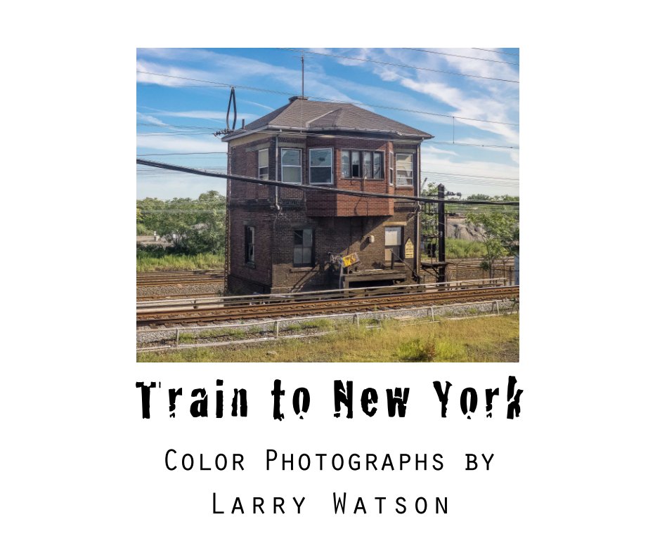 View Train to New York by Larry Watson