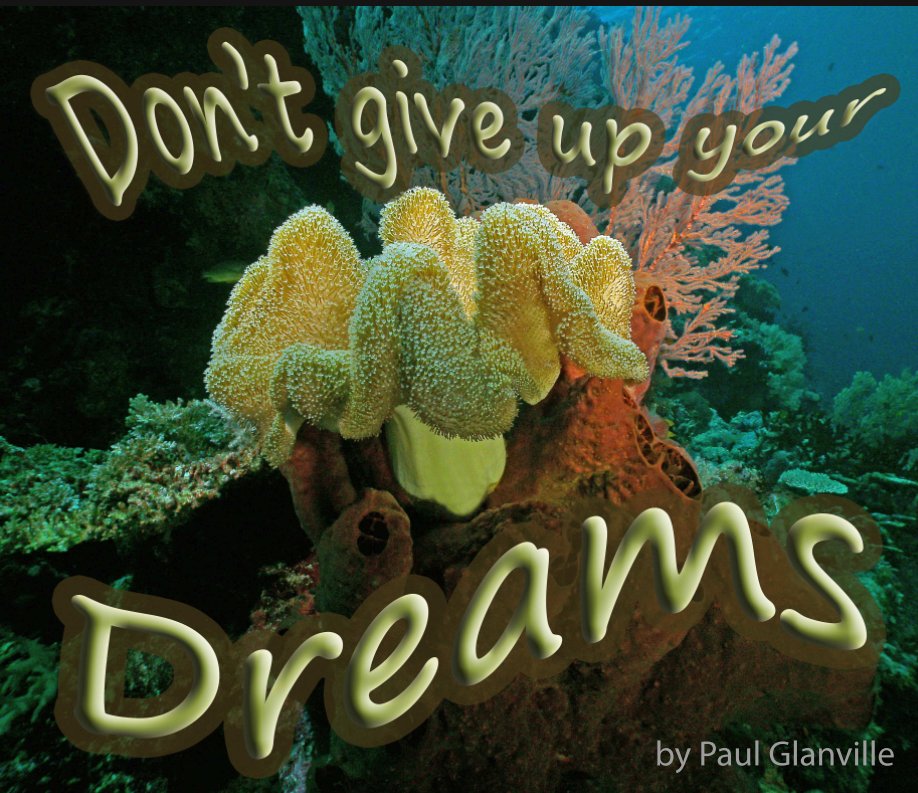 View Don't Give Up Your Dreams by Paul Glanville