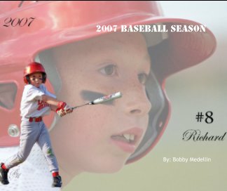 2007 Baseball Season book cover