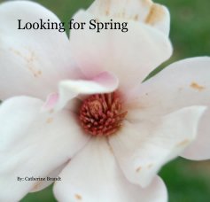 Looking for Spring book cover