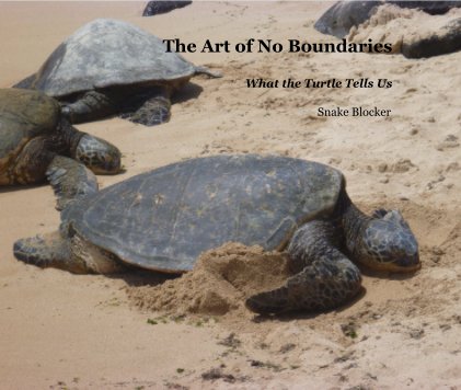 The Art of No Boundaries book cover