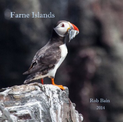 Farne Islands book cover