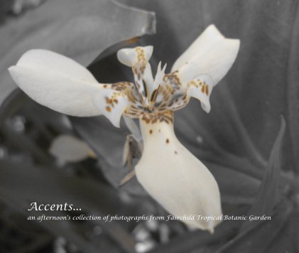 Accents... an afternoon's collection of photographs from Fairchild Tropical Botanic Garden book cover