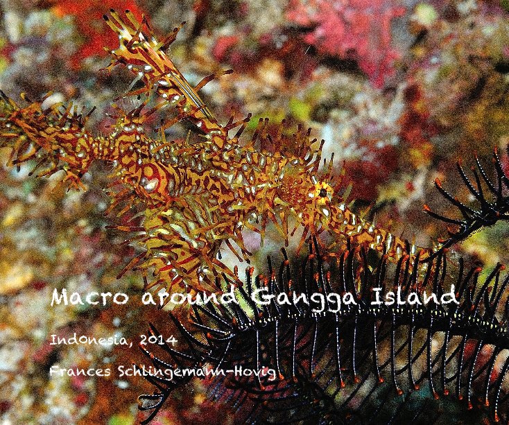 View Macro around Gangga Island by Frances Schlingemann-Hovig
