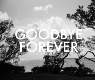 Goodbye Forever book cover