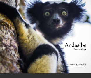 Andasibe book cover