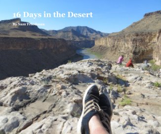16 Days in the Desert book cover