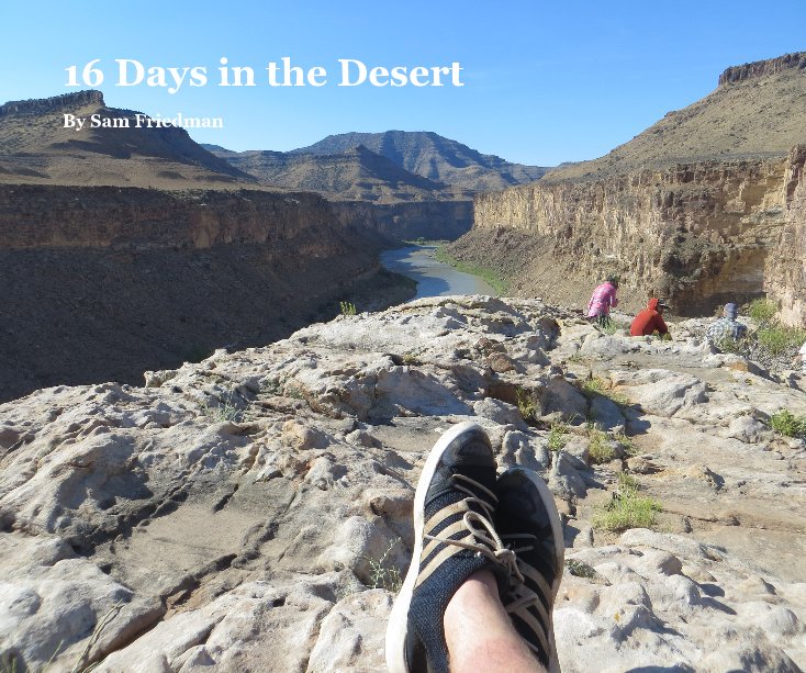 View 16 Days in the Desert by Sam Friedman