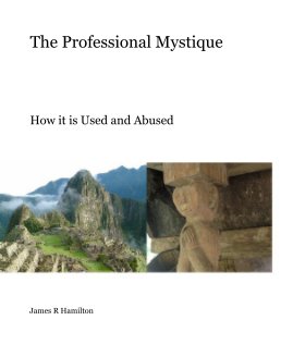 The Professional Mystique book cover