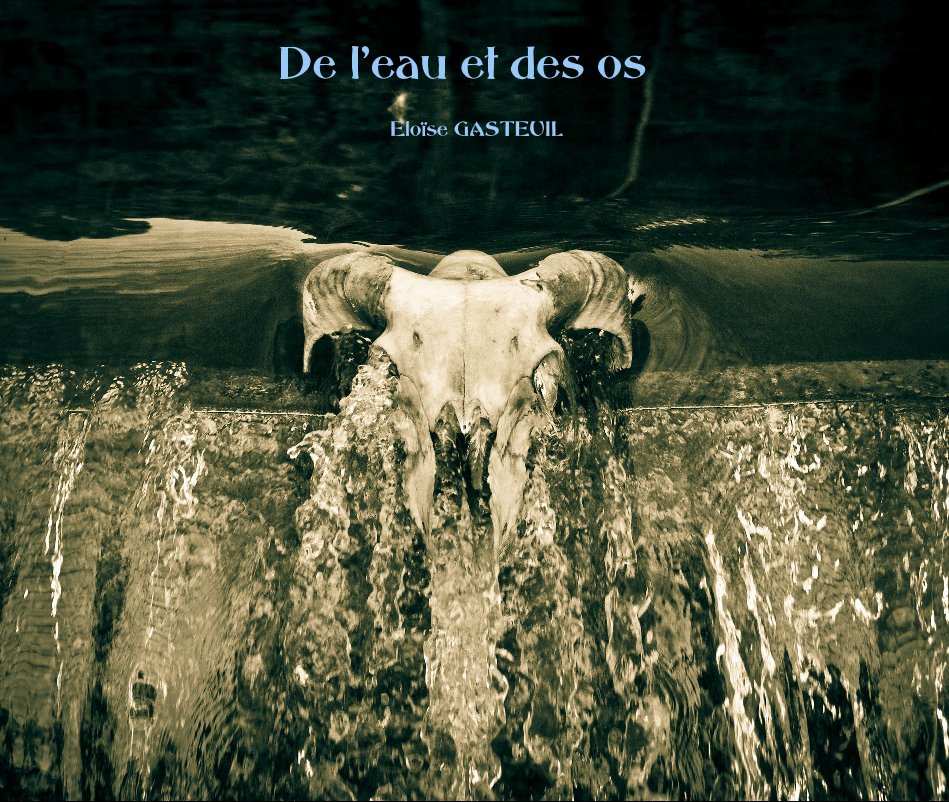 View De l'eau et des os by Eloïse GASTEUIL