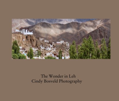 The Wonder in Leh
                   Cindy Bosveld Photography book cover