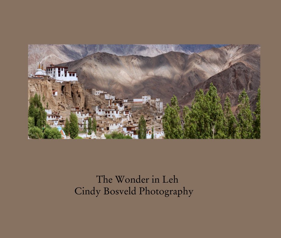 View The Wonder in Leh
                   Cindy Bosveld Photography by Cindy Bosveld
