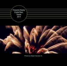Fireworks Display 
Crystal River, Florida
2014 book cover