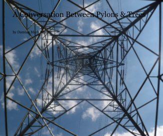 A Conversation Between Pylons & Trees book cover