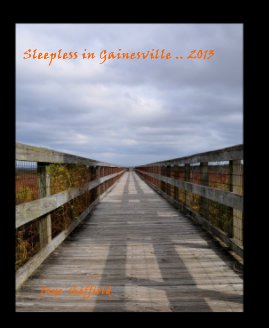 Sleepless in Gainesville .. 2013 book cover