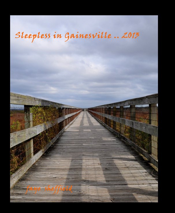 View Sleepless in Gainesville .. 2013 by faye sheffield