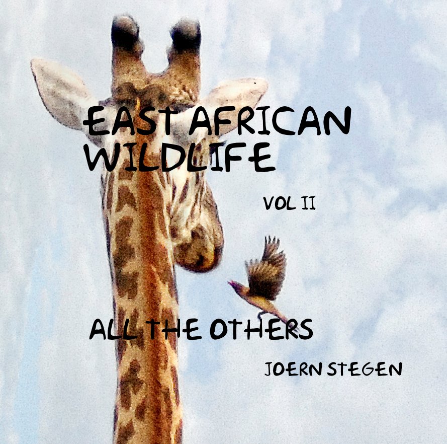 View EAST AFRICAN WILDLIFE VOL II by joern stegen