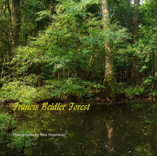 Bekijk Francis Beidler Forest op Photographs by Rick Pagenkopf