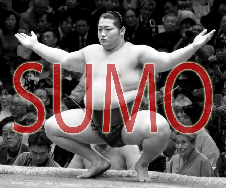 View sumo by de Parthiot emmanuel