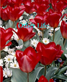 Other Life book cover