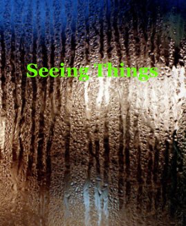 Seeing Things book cover