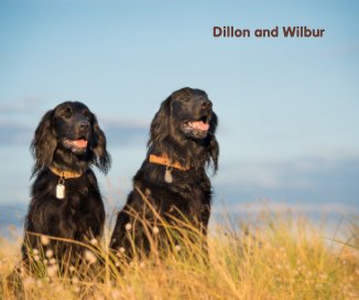 Dillon and Wilbur book cover