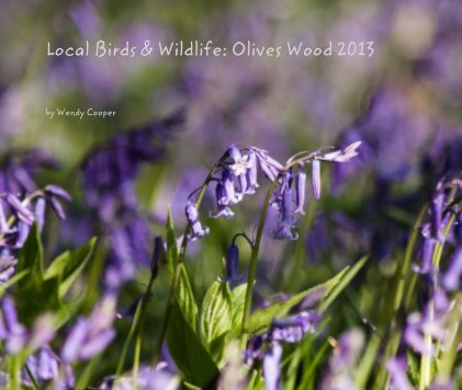 Local Birds & Wildlife: Olives Wood 2013 book cover