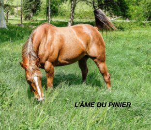 L'Âme du Pinier book cover