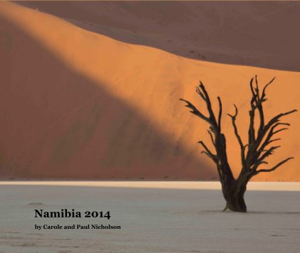 Namibia 2014 book cover