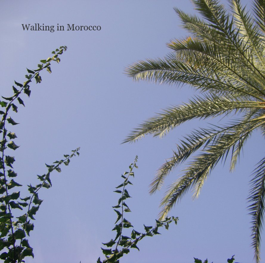 View Walking in Morocco by Karen Dews