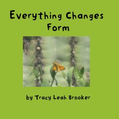 Everything Changes Form book cover