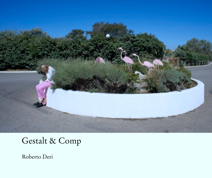 View Gestalt & Comp by Roberto Deri