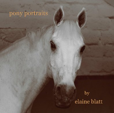 pony portraits book cover