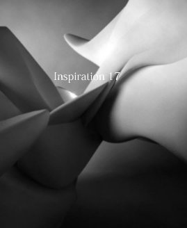 Inspiration 17 book cover