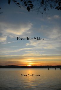 Possible Skies book cover