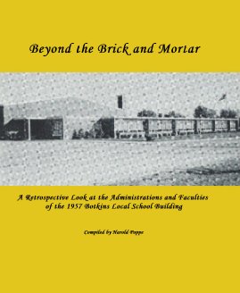 Beyond the Brick and Mortar book cover
