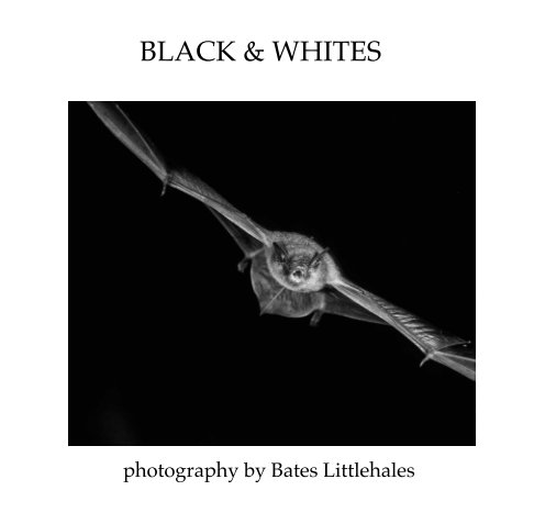 View BLACK & WHITES by BATES LITTLEHALES