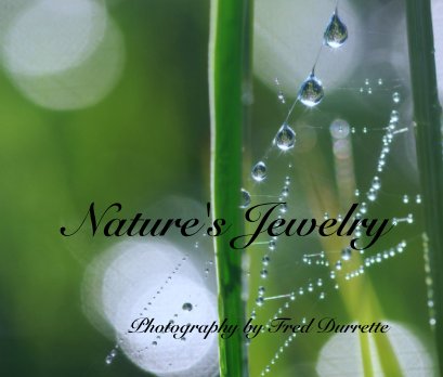 Nature's Jewelry book cover