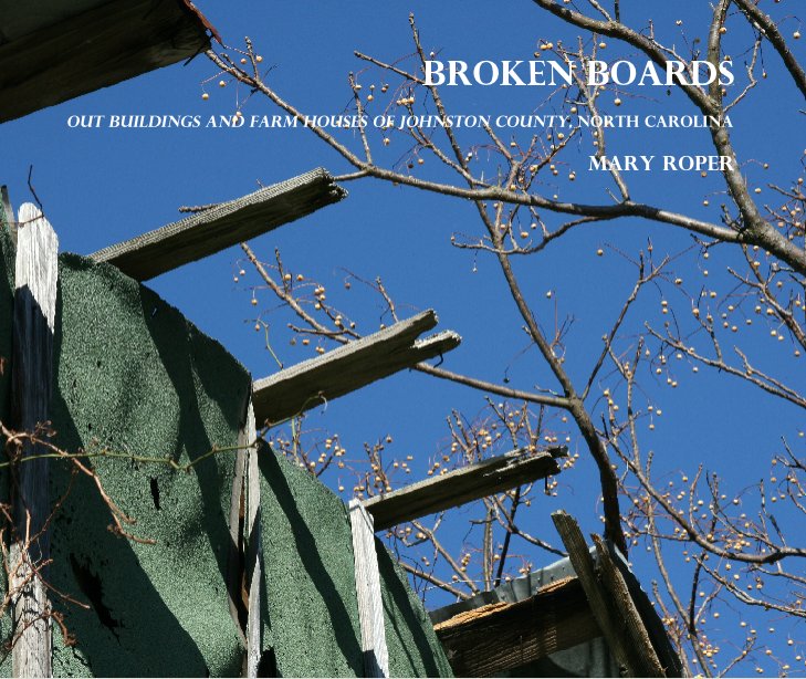 View Broken Boards by Mary Roper