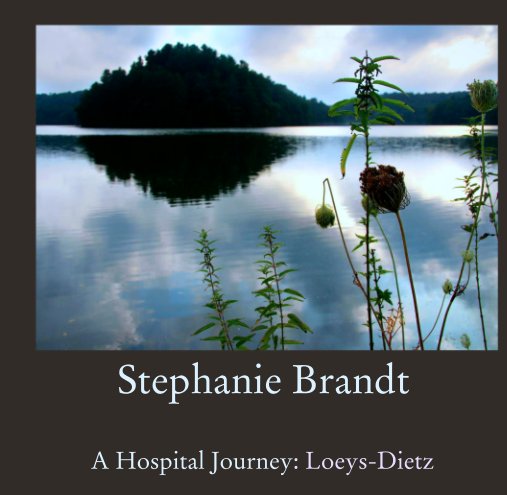 Stephanie Brandt nach A Hospital Journey: Loeys-Dietz anzeigen
