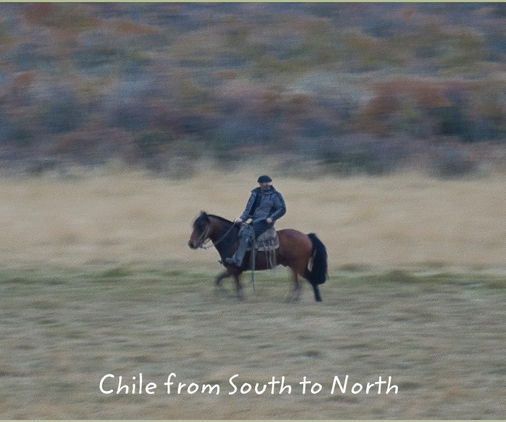 Ver Chile from South to North por Mikhail Sharov