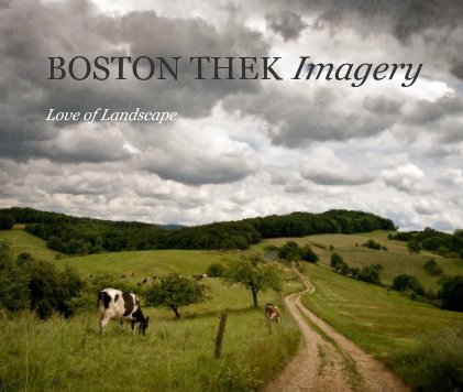 BOSTON THEK Imagery book cover