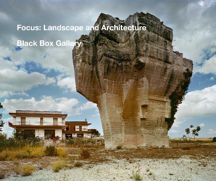 Ver Focus: Landscape and Architecture por Black Box Gallery