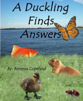 A Duckling Finds Answers book cover