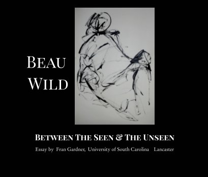 BEAU WILD Between The Seen and The Unseen book cover