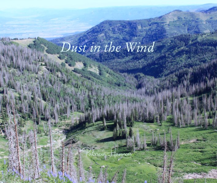 View Dust in the Wind by Patricia Hannon