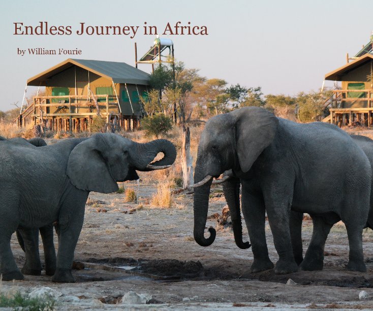 View Endless Journey in Africa by William Fourie