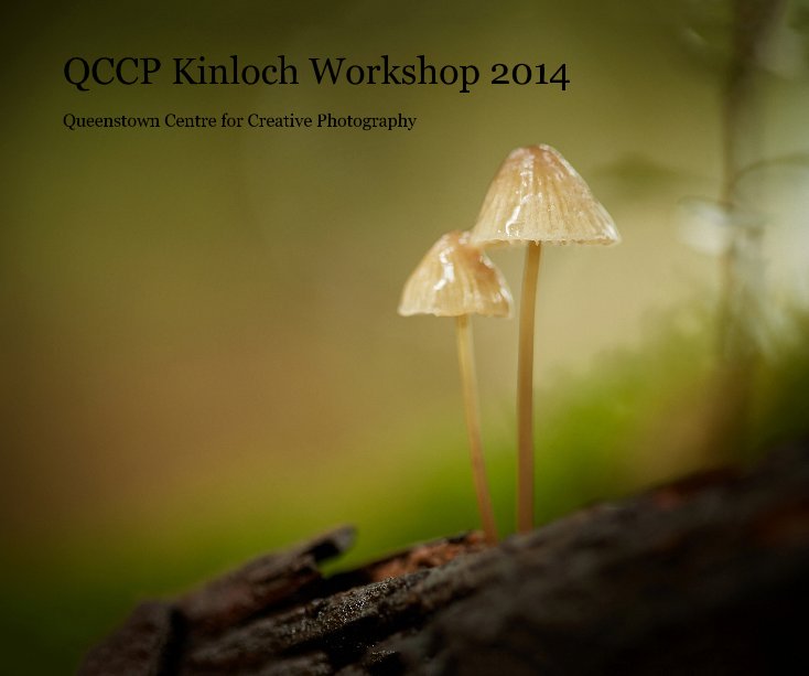Ver QCCP Kinloch Workshop 2014 por Jackie Ranken QCCP