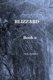 BLIZZARD Book 2 Linda Ann Martens book cover